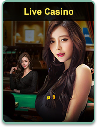banner live casino