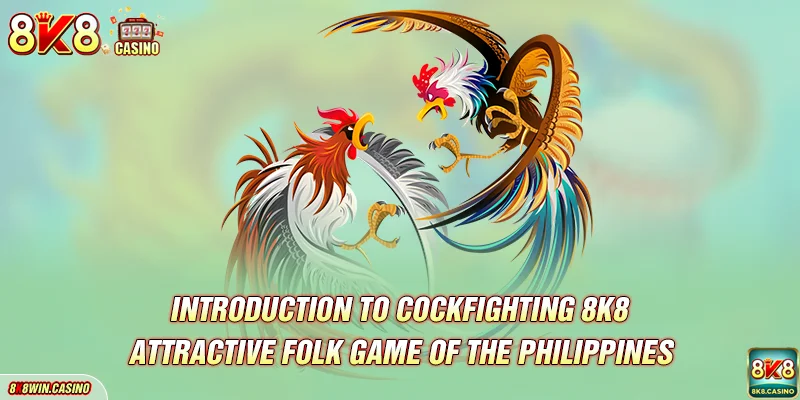 Introduction to Cockfighting FB777 - Attractive folk game of the Philippines