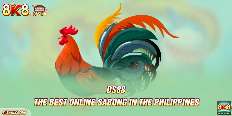 DS88 - The best online Sabong in the Philippines
