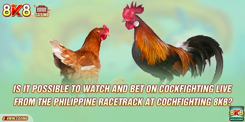 Is it possible to watch and bet on cockfighting live from the Philippine racetrack at Cochfighting FB777?